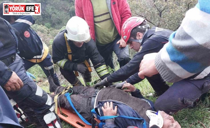 Kamyon dereye devrildi: 1 yaralı