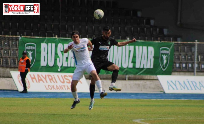 TFF 3. Lig: Efeler 09 SFK: 2 - Siirt İl Özel İdaresi Spor: 0