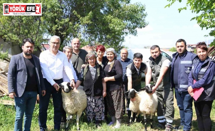 Başkan Çerçioğlu’ndan koyunları telef olan üretici kadına destek