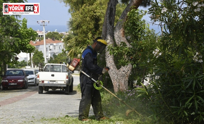 Kuşadası Belediyesi’nden 7/24 turizm sezonu mesaisi