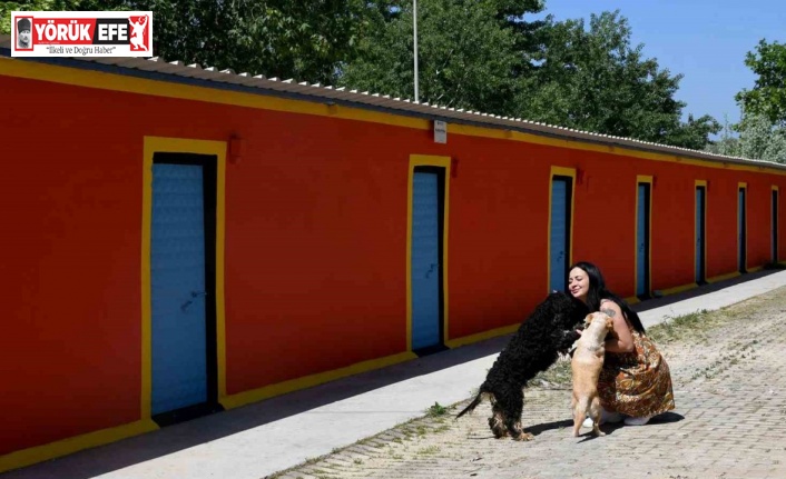 Kuşadası’ndaki Evcil Hayvan Rehabilitasyon Merkezi yenilendi