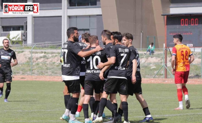 TFF 3. Lig: Niğde Anadolu FK: 1 - Efeler 09 SFK: 6