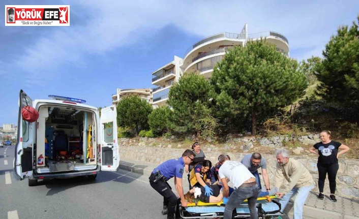 Üst geçidi kullanmayan kadına kamyonet çarptı: 1 yaralı