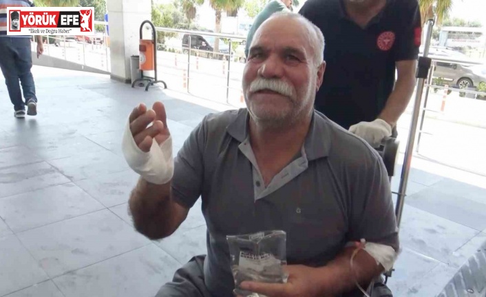 Acemi kasap hastanelik oldu: "Dana kesecektik, kendimizi kestik"