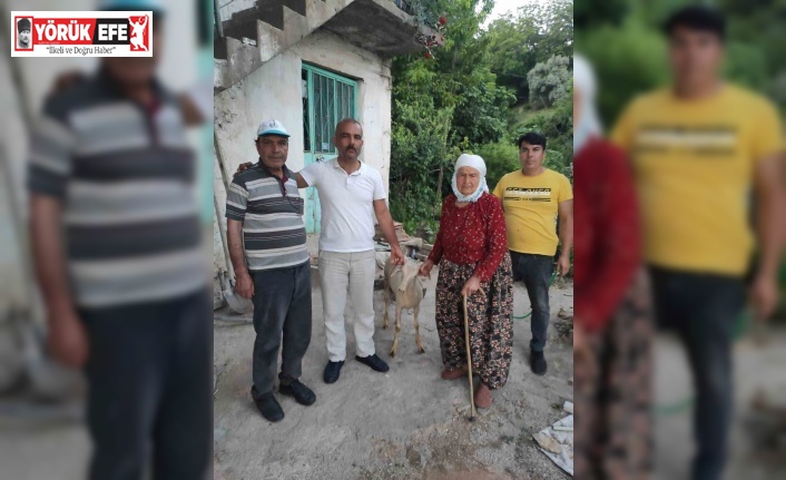 Aydın Ülkü Ocakları şehit ailelerini unutmadı