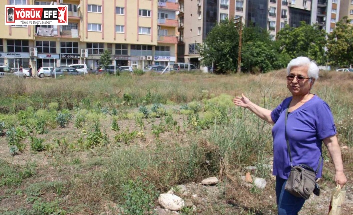 Aydındaki Aykonutzedelerin umutları tükendi