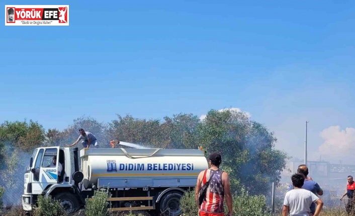 Didim’de sanayide çıkan yangın korkuttu