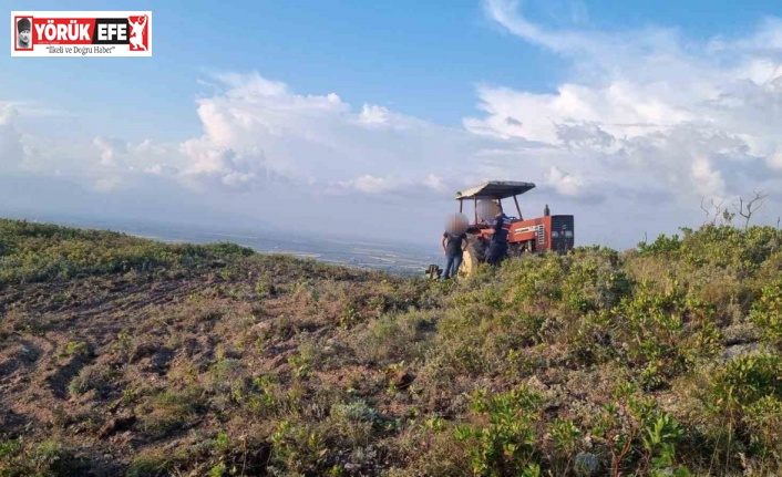 Hazineye ait arazide yol açarken yakalandılar