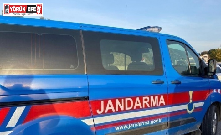 Jandarma ekipleri 23 olaya suçüstü müdahale etti