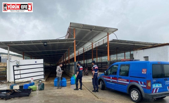 Jandarma hayvan hırsızlığı ve dolandırıcılığına karşı bilgilendirdi