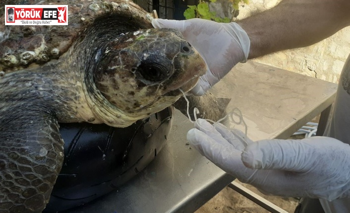 Vatandaşların dikkati deniz kaplumbağasını kurtardı