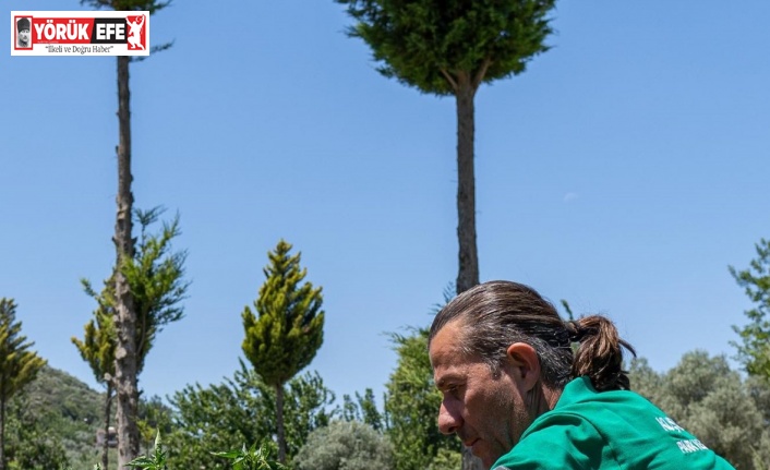 Adabahçe’nin sağlıklı ürünleri sofralarda yerini almaya başladı