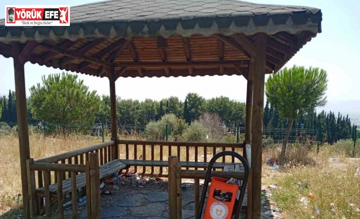 ADÜ’deki kamelyalar mikrop yuvası oldu