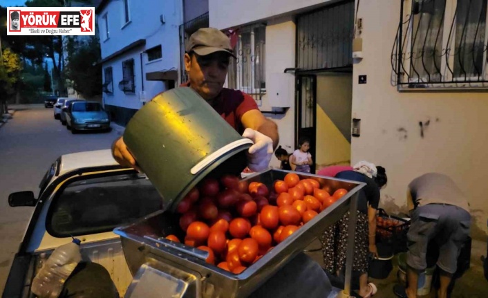 ’Alo Salçacı’ hattını kurdu