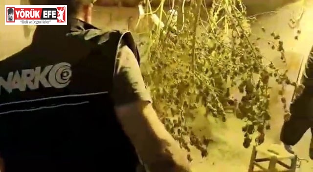 Aydın’da 1 ayda 8 bin gram uyuşturucu ele geçirildi