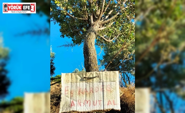 Aydın’da paylaşmanın önemini gösteren not