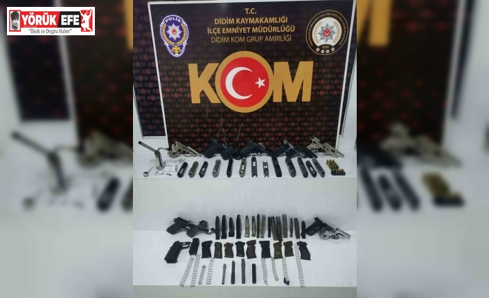 Aydın’da silah ticareti operasyonu