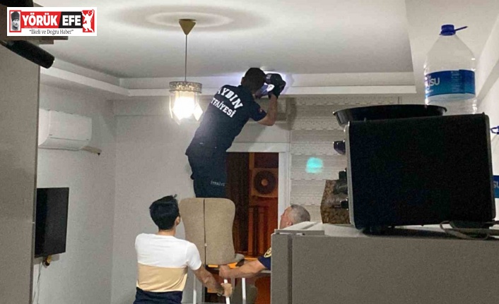 Aydın’da yarasa paniği