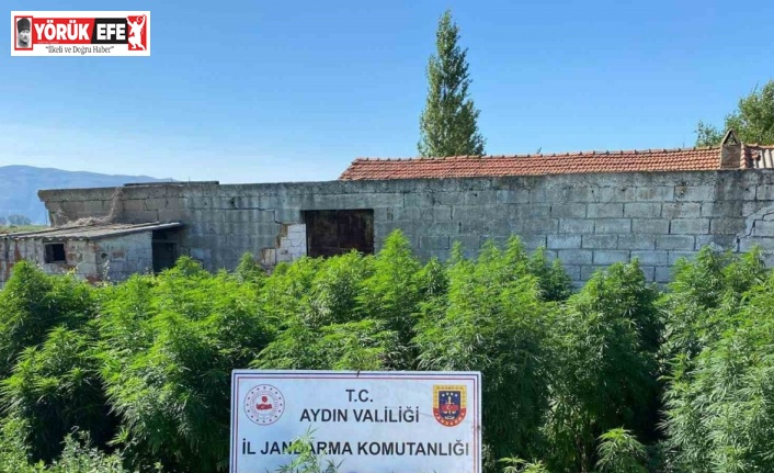 Çiftlik evine uyuşturucu baskını: 1 tutuklama