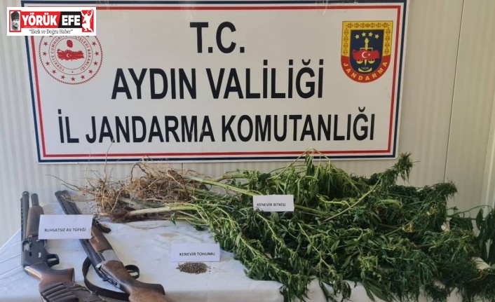 Çine’de uyuşturucu operasyonu: 1 gözaltı