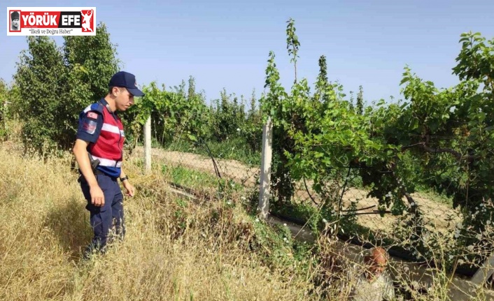 Kaybolan engelli şahsı jandarma ekipleri buldu