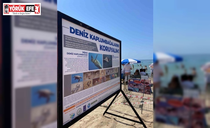 Kuşadası Belediyesi’nden Caretta Caretta yuvaları için bir önlem daha