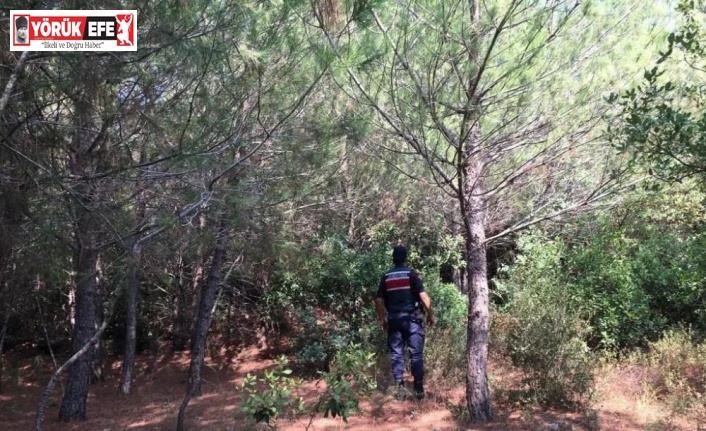 Ormanlık alanda mangal yaktılar, cezadan kaçamadılar