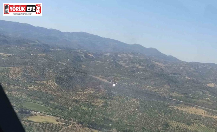 Otoban kenarında çıkan yangın, büyümeden söndürüldü