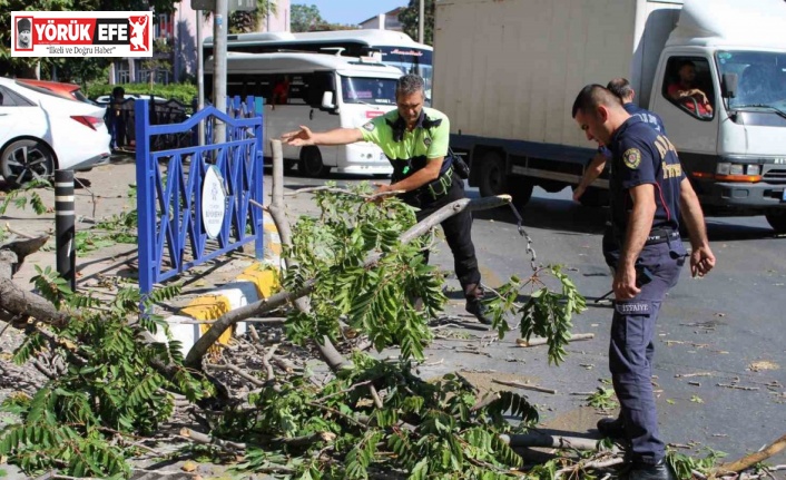 Rüzgarda kopan dal az daha canından ediyordu