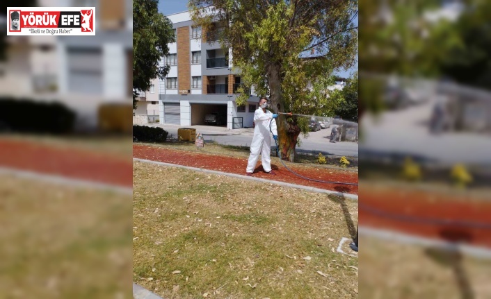 Söke Belediyesi’nden kene ilaçlaması