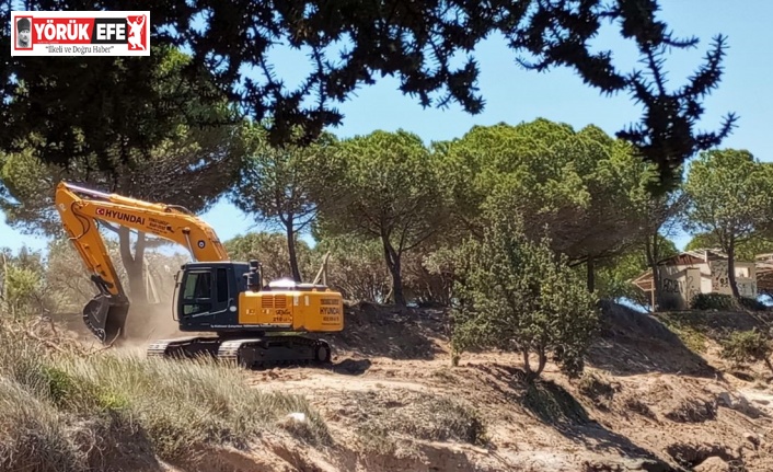 Tabiat alanında, kepçe ve hızarlı “temizlik”, doğaseverlerin tepkisini çekti