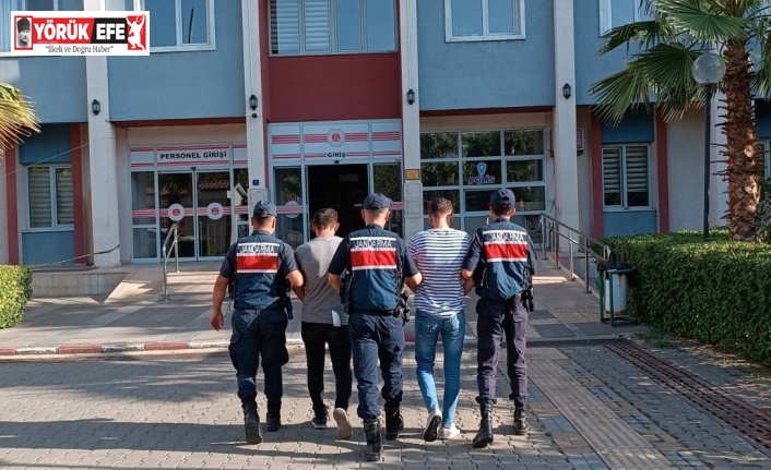 Zeytinyağı hırsızları, kıskıvrak yakalandı