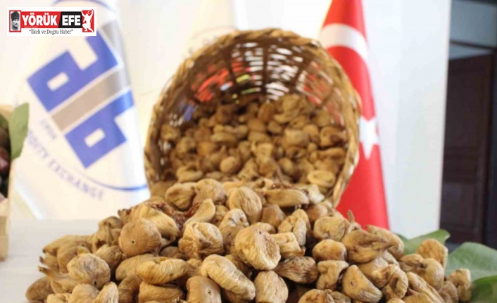 Aydın’da sezonun ilk kuru inciri 350 liradan satıldı
