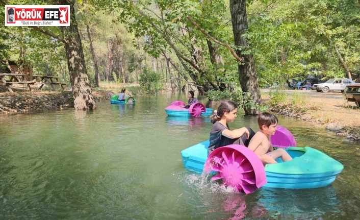 Aydın’da tatilcilerin yeni rotası mesire alanları oldu