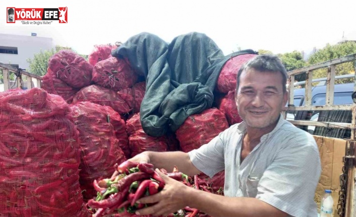 Aydın’ın kavurucu sıcağı ilin ekonomisini canlandırdı