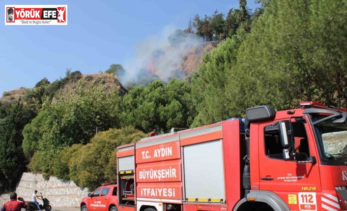 Aytepe mesire alanında yangın