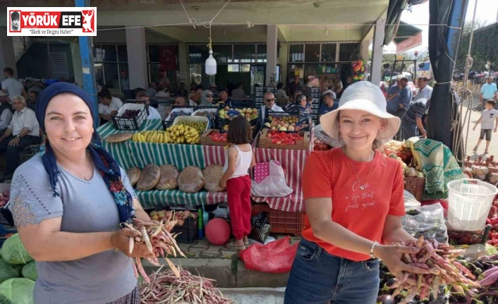 Barbunyaya hasret Barbunya Festivali