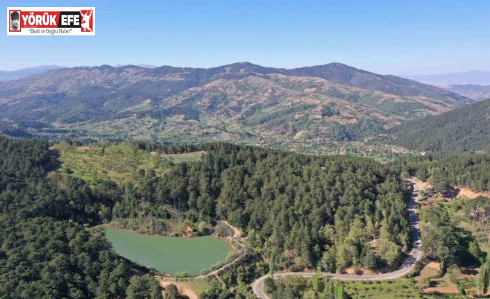 Burası Karadeniz değil Aydın