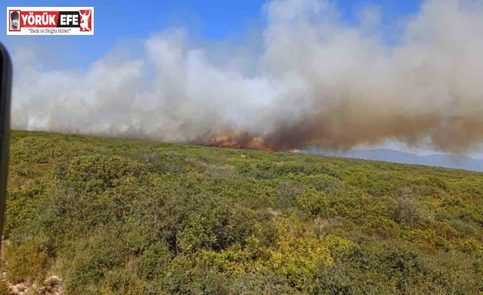 Didim’de makilik ve zirai alan yangını