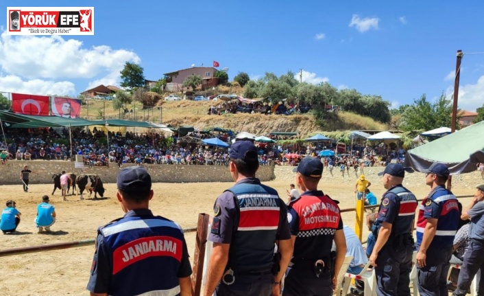 Jandarma boğa güreşinde tedbiri elden bırakmadı