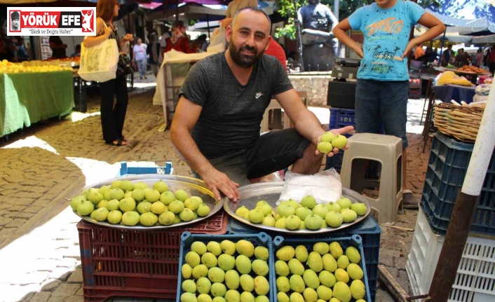 Sezonun ilk incirini pazar tezgahlarında yerini aldı