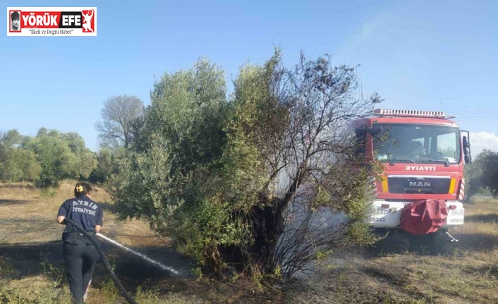Aydın Büyükşehir İtfaiyesi’nden Umurlu’daki yangına hızlı müdahale