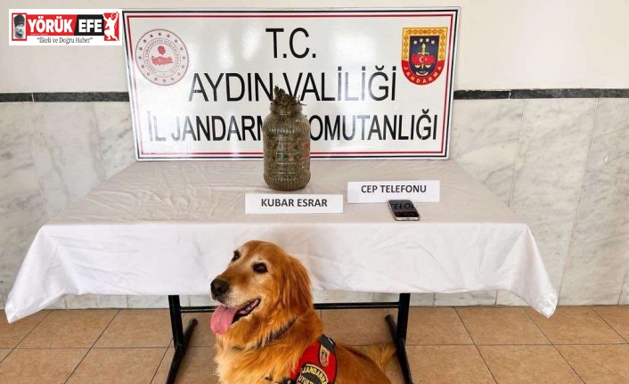 Aydın’da son 1 ayda 305 şüpheli yakalandı