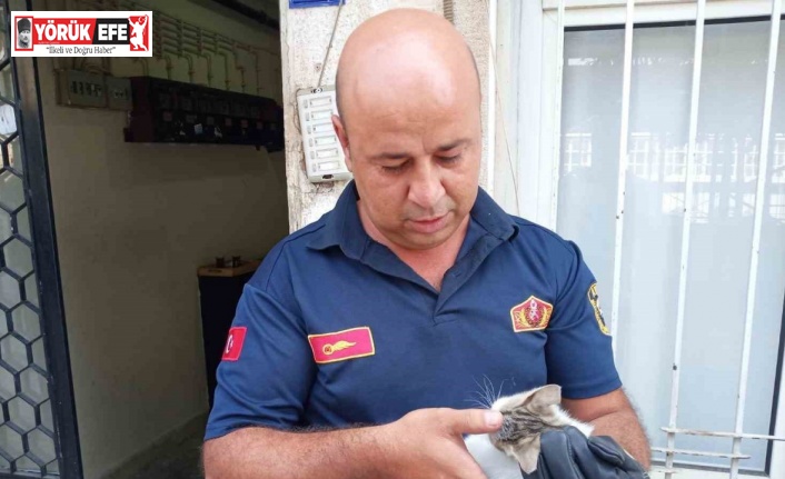 Bodrum havalandırmasına düşen yavru kediyi, itfaiye kurtardı