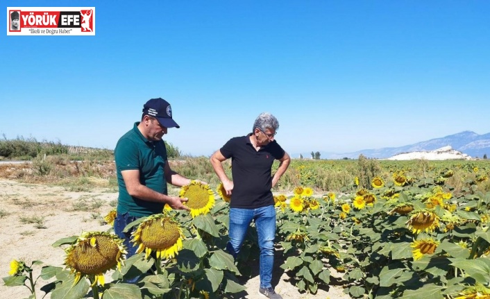 Didim’de haftalık kontroller devam ediyor