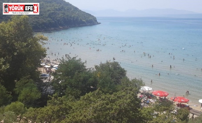 Dilek Yarımadası Milli Parkı’nın yeni müdürü Mersin oldu