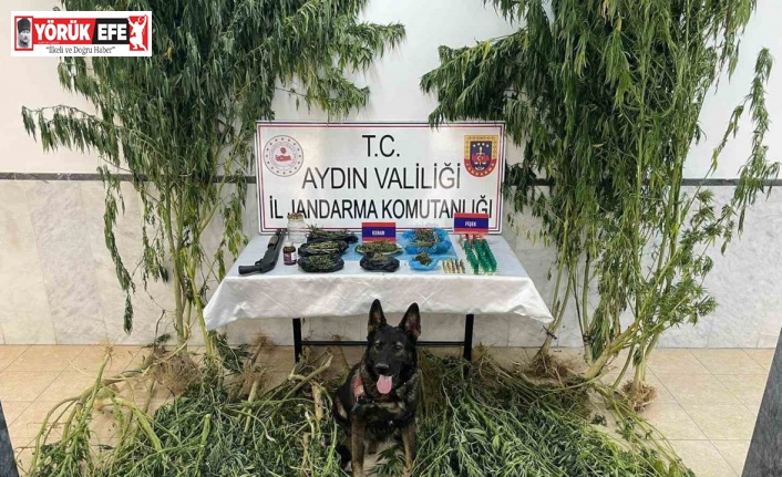 Hurdalıkta uyuşturucu operasyonu: 1 tutuklama