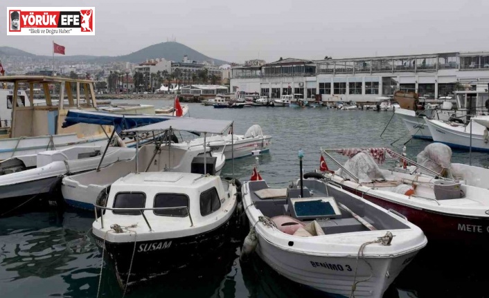 Kuşadası Belediye Başkan Yardımcısı Atak: "Balıkçılar Kahvesi ile ilgili paylaşımlar gerçekleri yansıtmıyor"