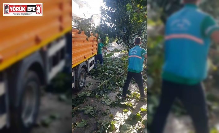 Kuşadası Belediyesi’nin kış hazırlıkları işe yaradı