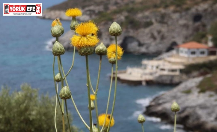 Kuşadası yeni bir turizm rotası daha kazandı